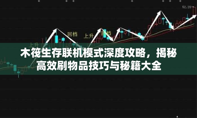 木筏生存联机模式深度攻略，揭秘高效刷物品技巧与秘籍大全