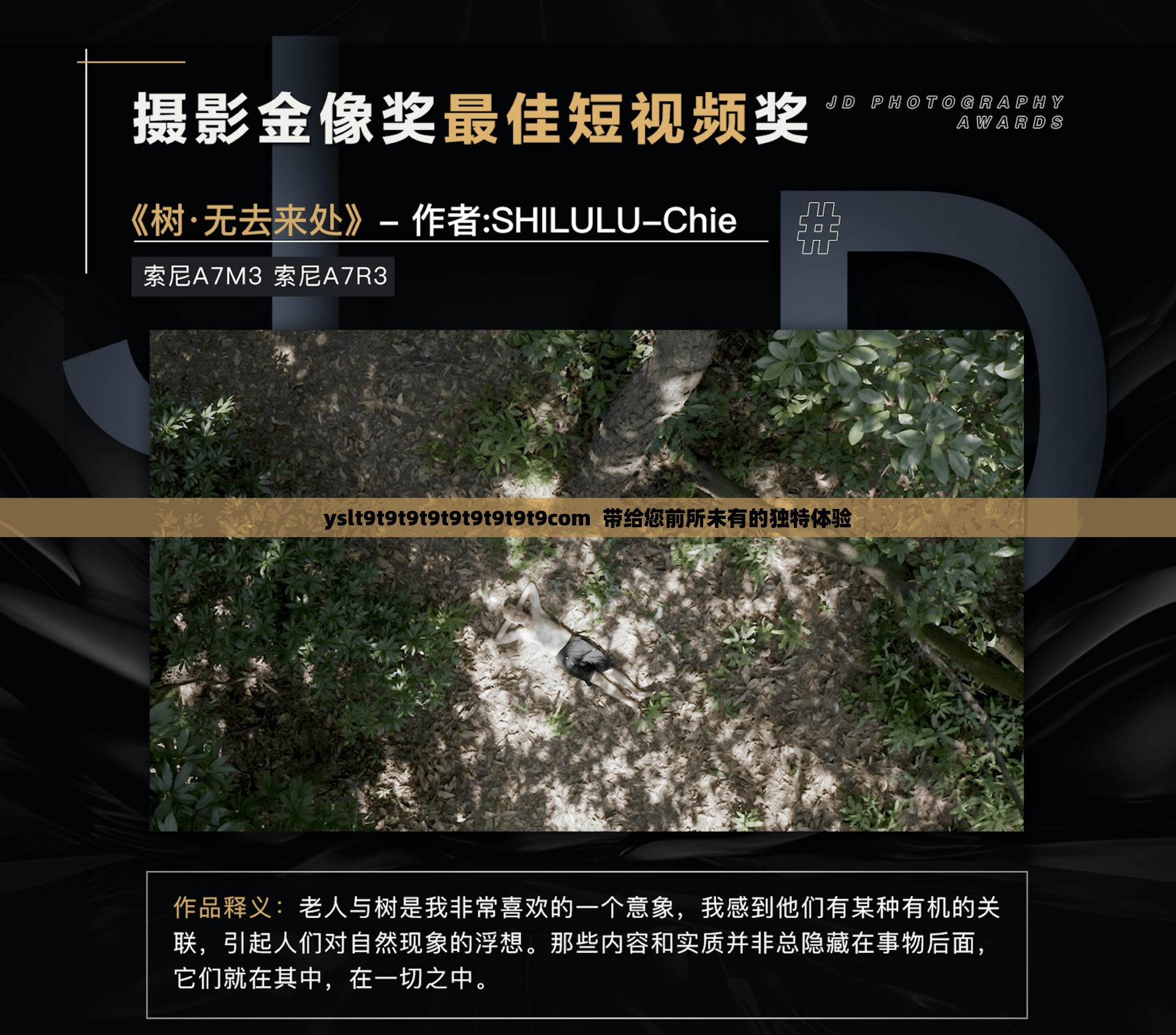 yslt9t9t9t9t9t9t9t9t9com  带给您前所未有的独特体验