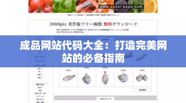 成品网站代码大全：打造完美网站的必备指南