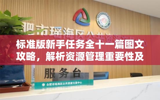 标准版新手任务全十一篇图文攻略，解析资源管理重要性及实施高效使用策略