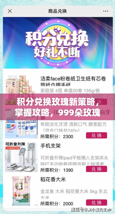 积分兑换玫瑰新策略，掌握攻略，999朵玫瑰轻松到手，MS积分赚取无忧