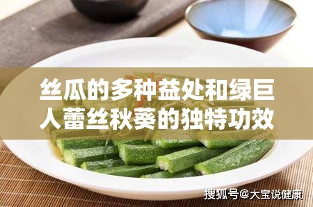 丝瓜的多种益处和绿巨人蕾丝秋葵的独特功效大揭秘