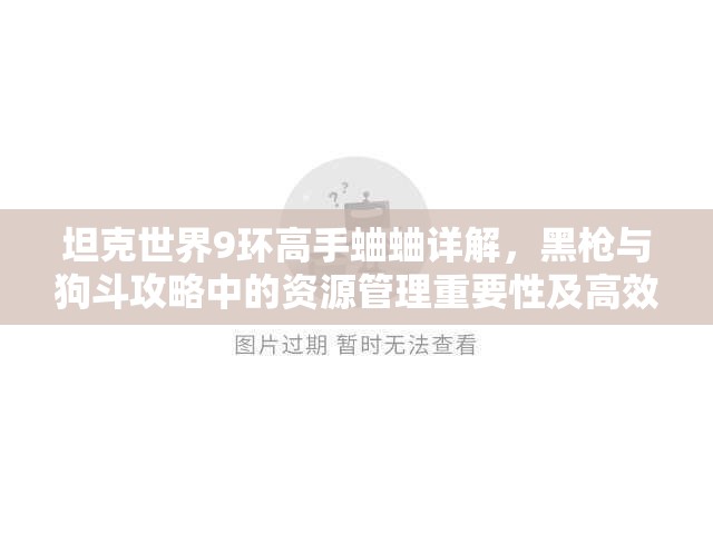 坦克世界9环高手蛐蛐详解，黑枪与狗斗攻略中的资源管理重要性及高效实战应用