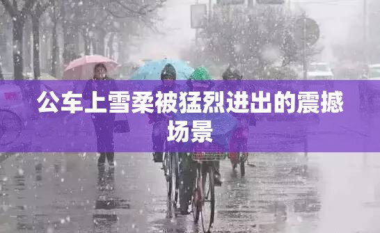 公车上雪柔被猛烈进出的震撼场景