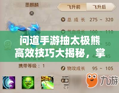 问道手游抽太极熊高效技巧大揭秘，掌握秘籍轻松获取稀有萌宠