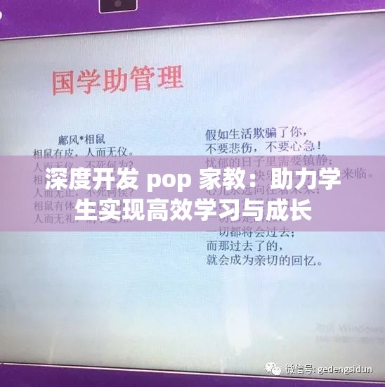 深度开发 pop 家教：助力学生实现高效学习与成长