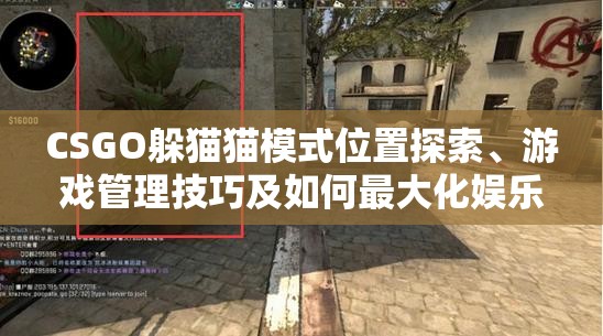 CSGO躲猫猫模式位置探索、游戏管理技巧及如何最大化娱乐体验