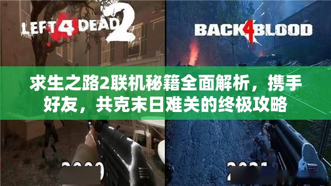 求生之路2联机秘籍全面解析，携手好友，共克末日难关的终极攻略