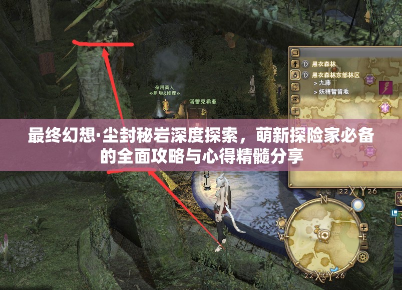 最终幻想·尘封秘岩深度探索，萌新探险家必备的全面攻略与心得精髓分享