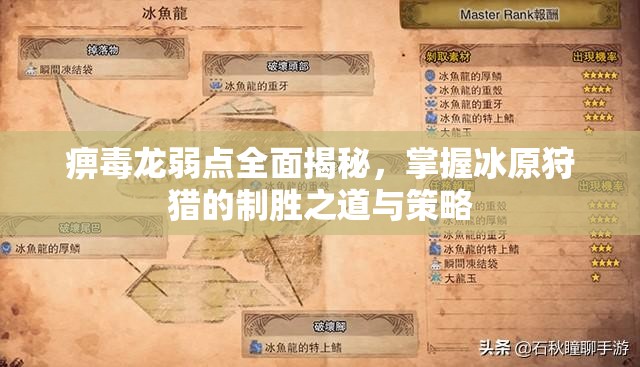 痹毒龙弱点全面揭秘，掌握冰原狩猎的制胜之道与策略