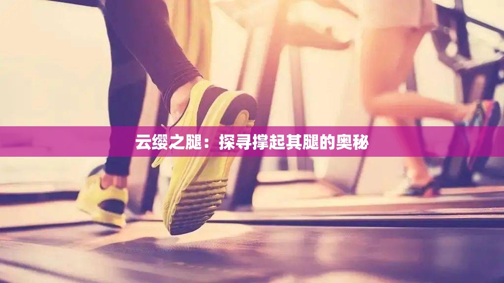 云缨之腿：探寻撑起其腿的奥秘