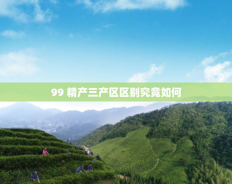 99 精产三产区区别究竟如何