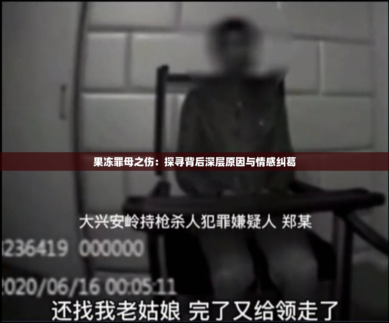 果冻罪母之伤：探寻背后深层原因与情感纠葛