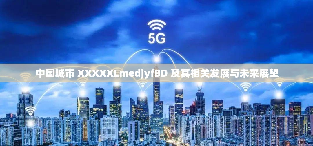 中国城市 XXXXXLmedjyfBD 及其相关发展与未来展望