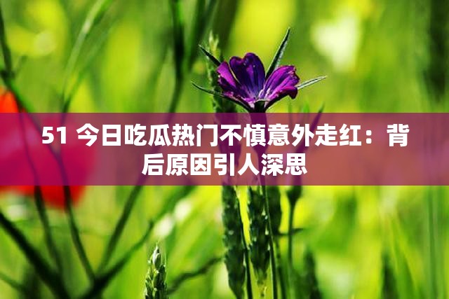 51 今日吃瓜热门不慎意外走红：背后原因引人深思