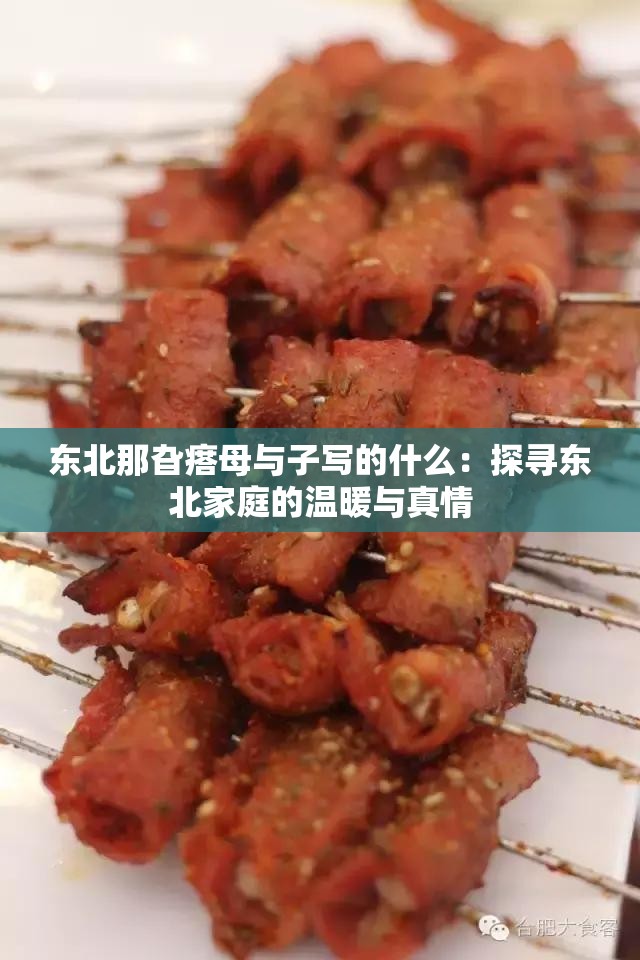 东北那旮瘩母与子写的什么：探寻东北家庭的温暖与真情