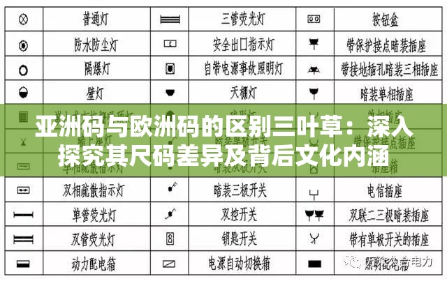 亚洲码与欧洲码的区别三叶草：深入探究其尺码差异及背后文化内涵