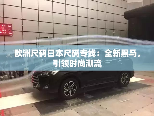 欧洲尺码日本尺码专线：全新黑马，引领时尚潮流