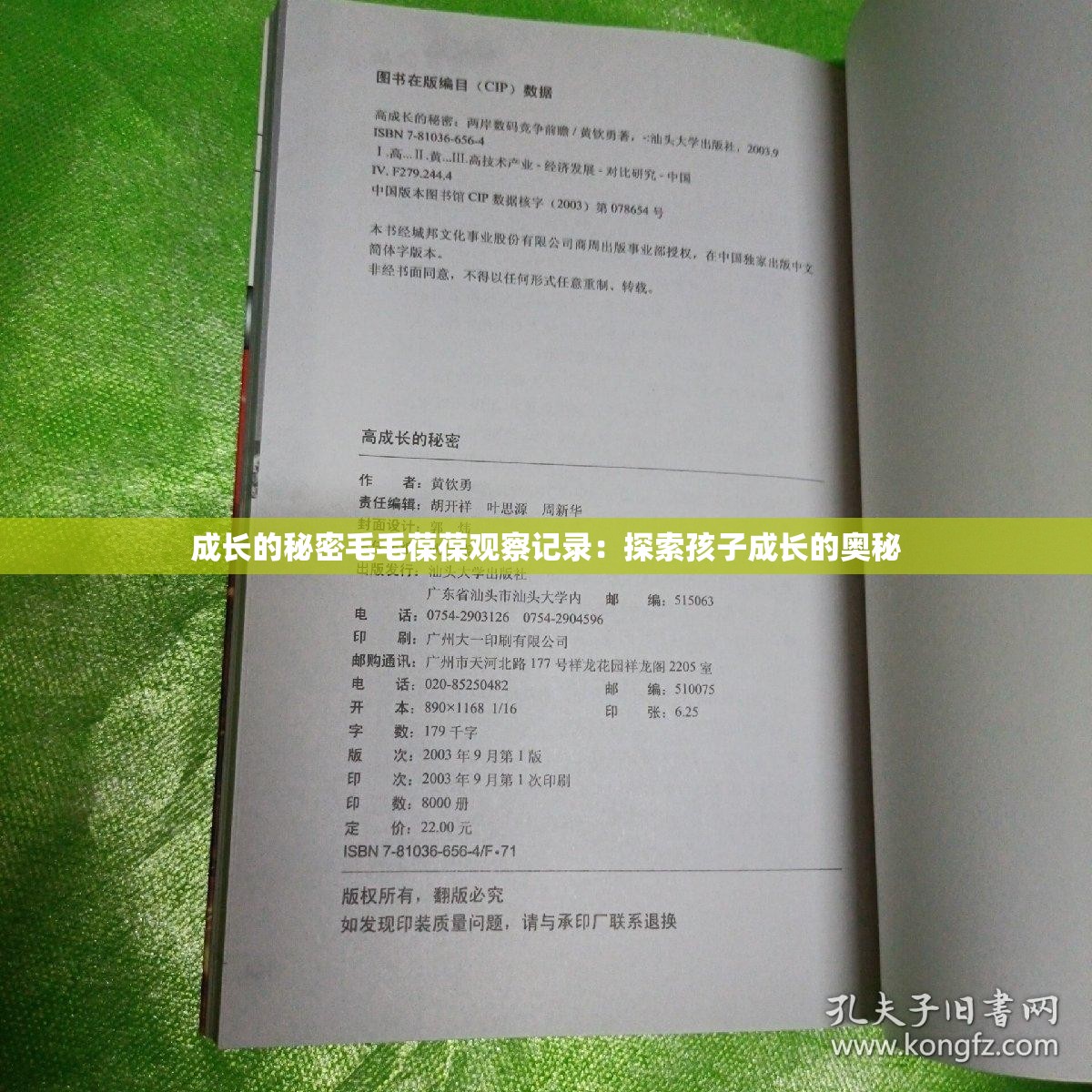 成长的秘密毛毛葆葆观察记录：探索孩子成长的奥秘