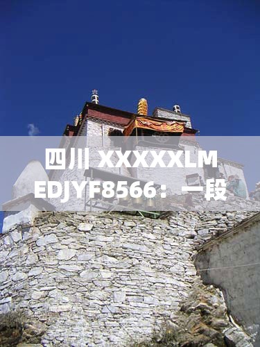 四川 XXXXXLMEDJYF8566：一段神秘的旅程