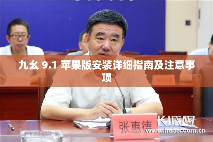 九幺 9.1 苹果版安装详细指南及注意事项