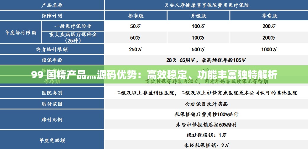 99 国精产品灬源码优势：高效稳定、功能丰富独特解析
