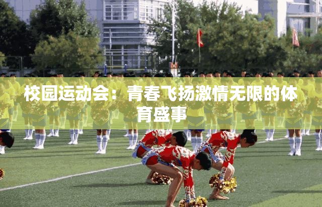 校园运动会：青春飞扬激情无限的体育盛事