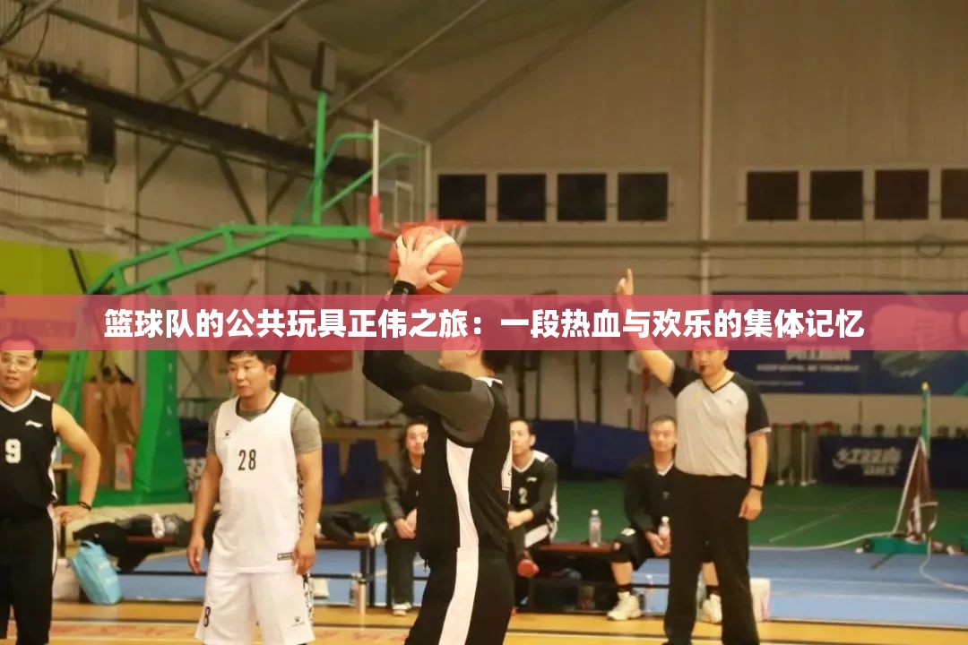 篮球队的公共玩具正伟之旅：一段热血与欢乐的集体记忆