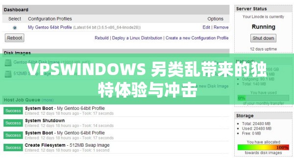 VPSWINDOWS 另类乱带来的独特体验与冲击