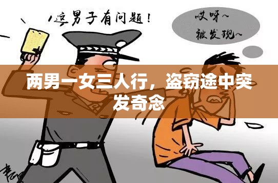 两男一女三人行，盗窃途中突发奇念