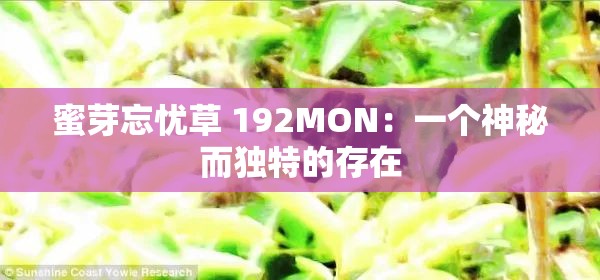 蜜芽忘忧草 192MON：一个神秘而独特的存在