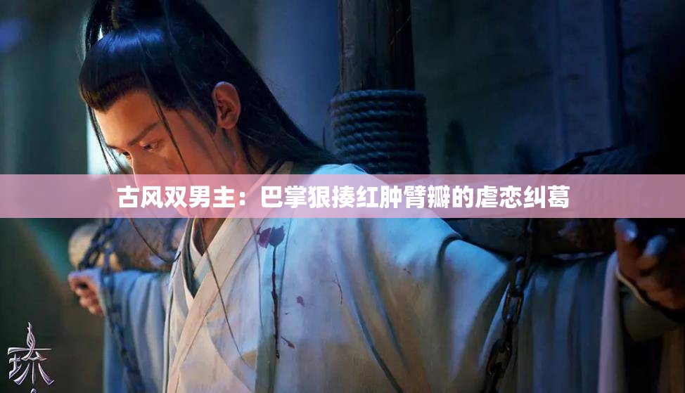 古风双男主：巴掌狠揍红肿臂瓣的虐恋纠葛