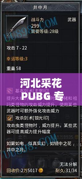 河北采花 PUBG 专卖网：游戏道具交易平台