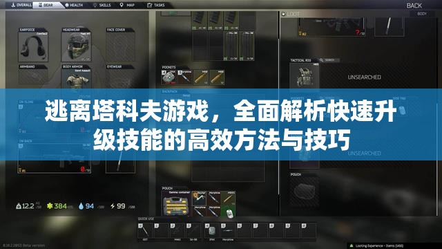 逃离塔科夫游戏，全面解析快速升级技能的高效方法与技巧