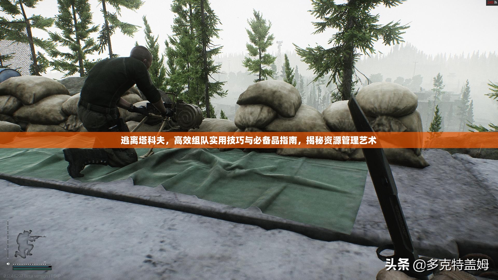 逃离塔科夫，高效组队实用技巧与必备品指南，揭秘资源管理艺术