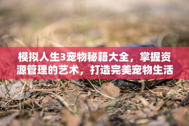 模拟人生3宠物秘籍大全，掌握资源管理的艺术，打造完美宠物生活