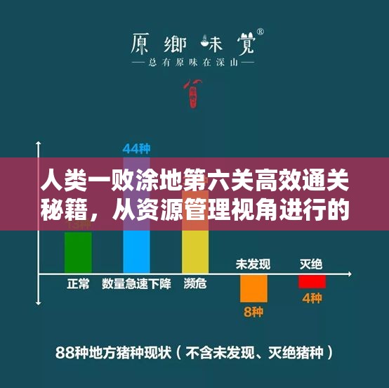 人类一败涂地第六关高效通关秘籍，从资源管理视角进行的深度策略解析