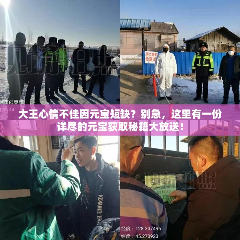 大王心情不佳因元宝短缺？别急，这里有一份详尽的元宝获取秘籍大放送！