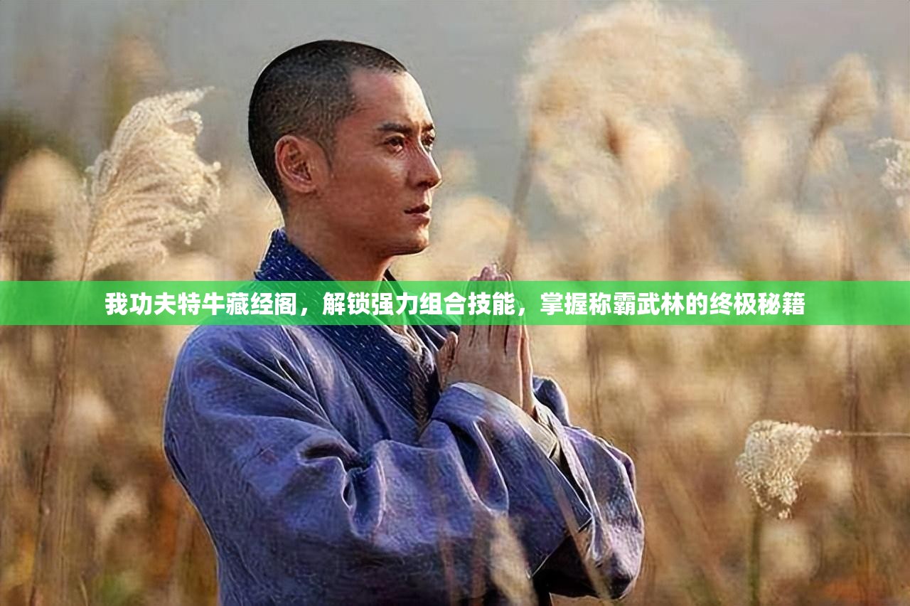 我功夫特牛藏经阁，解锁强力组合技能，掌握称霸武林的终极秘籍