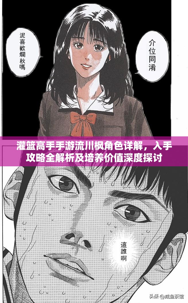 灌篮高手手游流川枫角色详解，入手攻略全解析及培养价值深度探讨