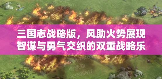 三国志战略版，风助火势展现智谋与勇气交织的双重战略乐章
