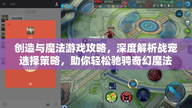 创造与魔法游戏攻略，深度解析战宠选择策略，助你轻松驰骋奇幻魔法世界