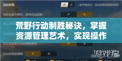 荒野行动制胜秘诀，掌握资源管理艺术，实现操作快人一步的策略