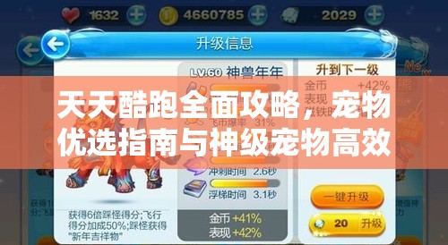 天天酷跑全面攻略，宠物优选指南与神级宠物高效获取秘籍