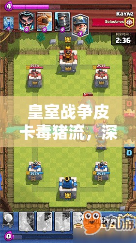 皇室战争皮卡毒猪流，深度解析战场上的攻守策略与艺术