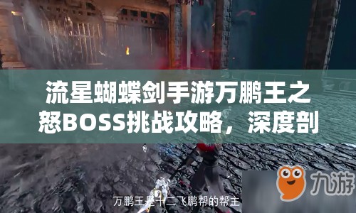流星蝴蝶剑手游万鹏王之怒BOSS挑战攻略，深度剖析打法技巧与策略