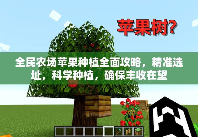 全民农场苹果种植全面攻略，精准选址，科学种植，确保丰收在望