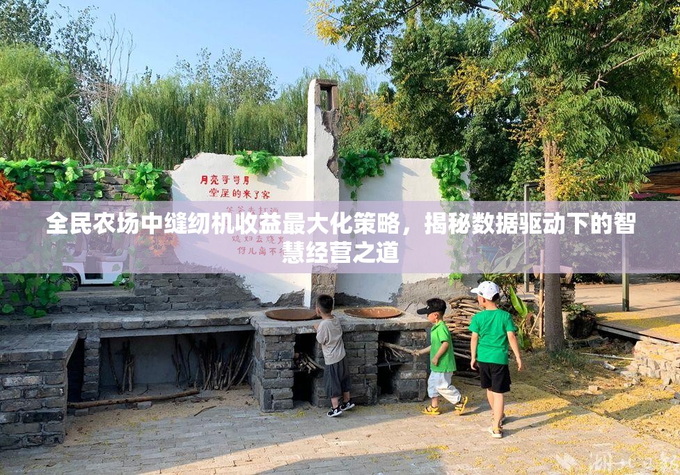 全民农场中缝纫机收益最大化策略，揭秘数据驱动下的智慧经营之道