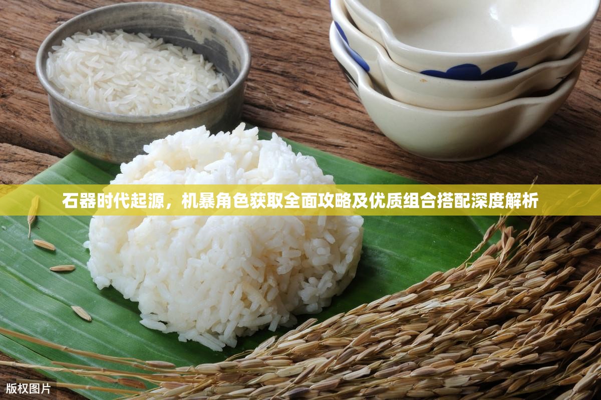 石器时代起源，机暴角色获取全面攻略及优质组合搭配深度解析