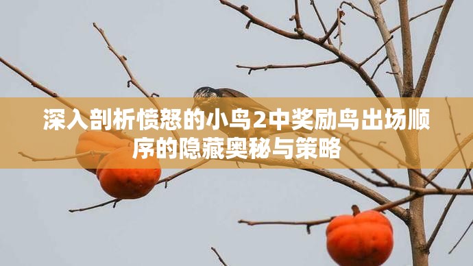 深入剖析愤怒的小鸟2中奖励鸟出场顺序的隐藏奥秘与策略